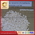 Hot Sale Snow White Pumpkin Seeds with Ce